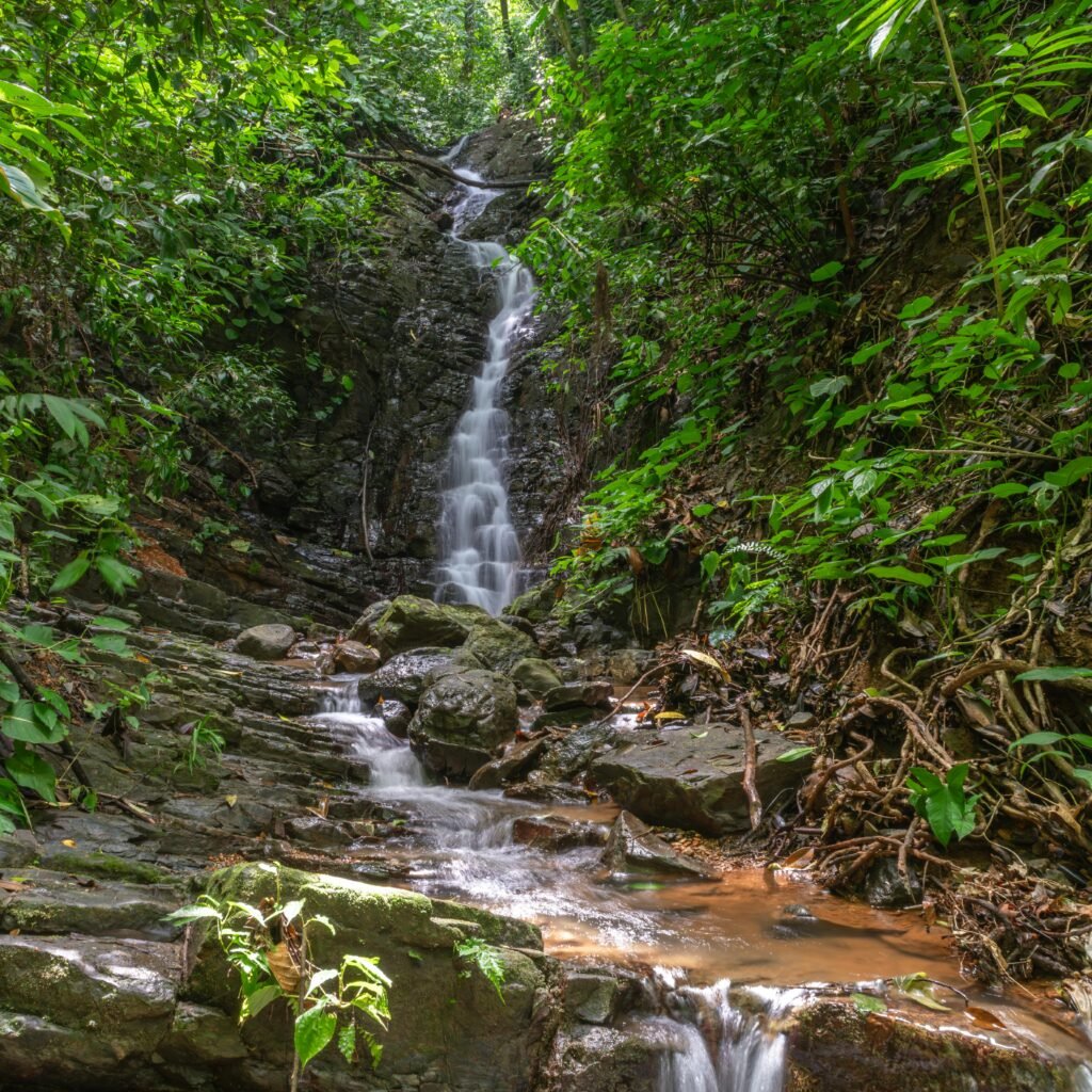 A calm, sunlit space for reflection at Inner Thinking